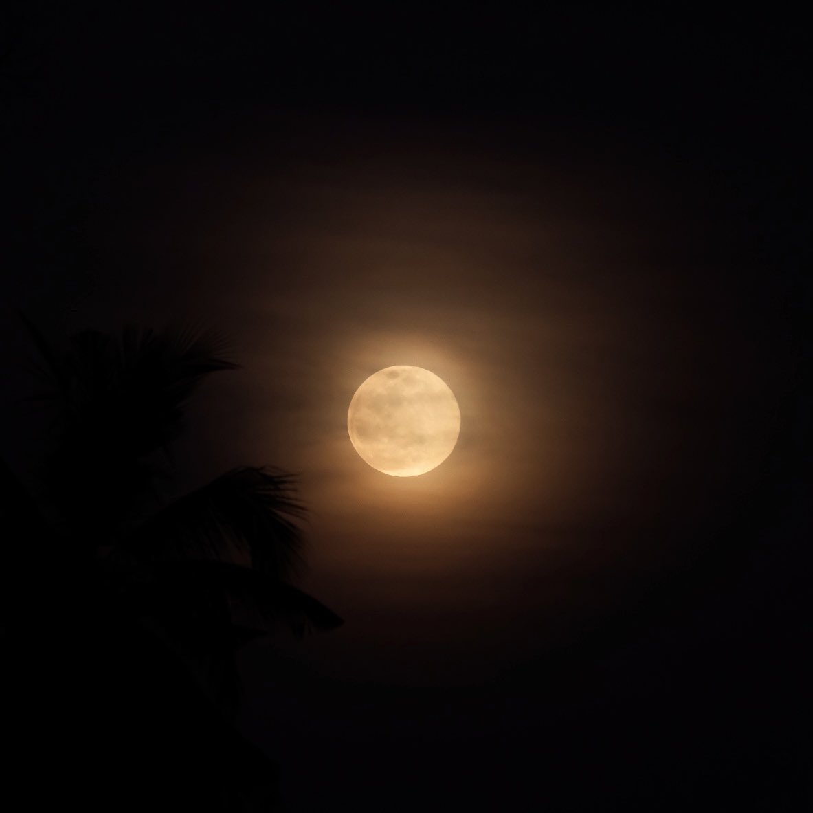 พระจันทร์เต็มดวงครั้งแรกของปี 2026 🌕💫
Super wolf ดวงจันทร์ใกล้โลกครั้งแรก