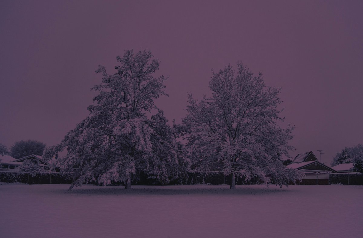 zosphotos's tweet photo. Snow in different shades https://t.co/13iOevEBp7