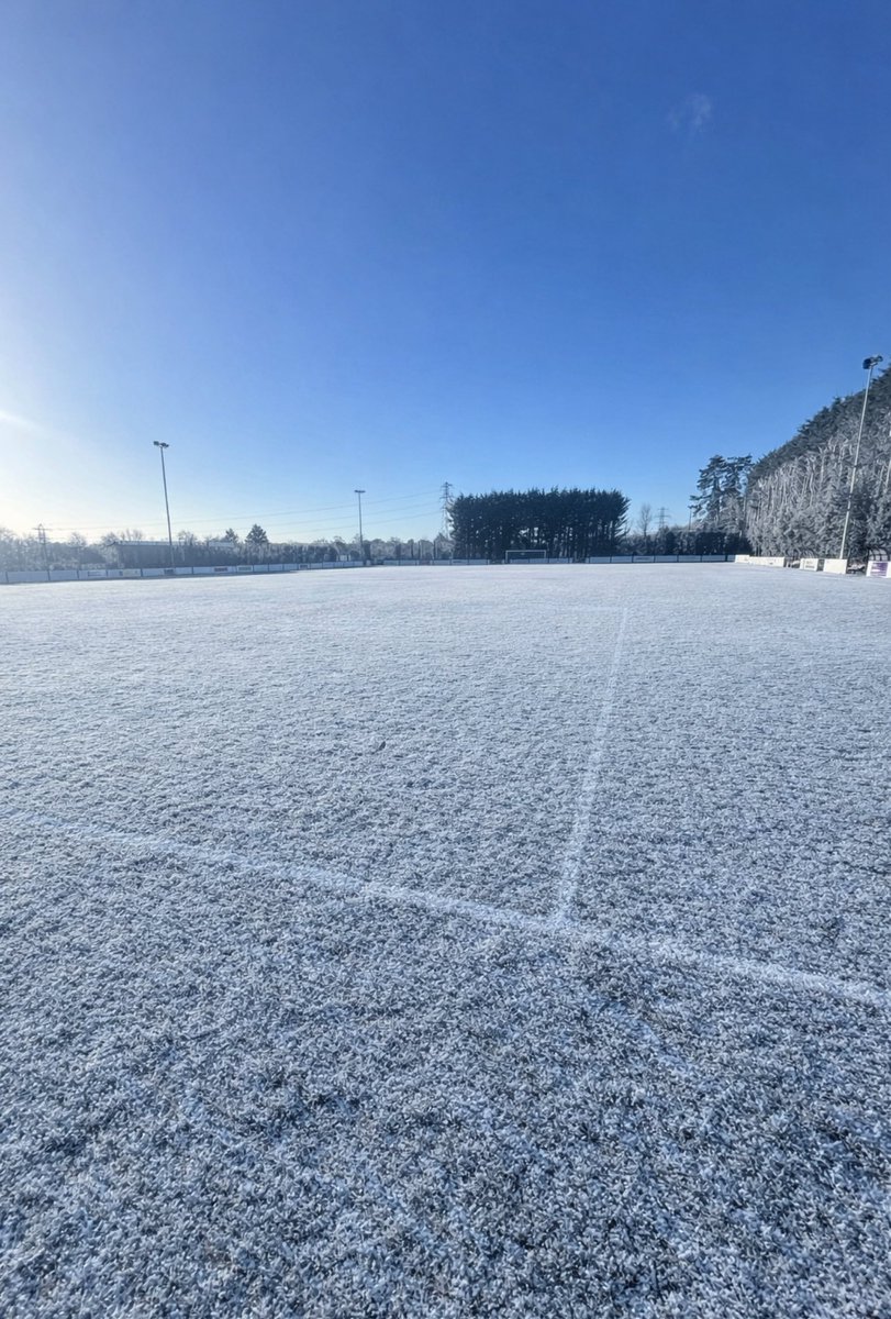 Bemerton Heath Harlequins tweet media