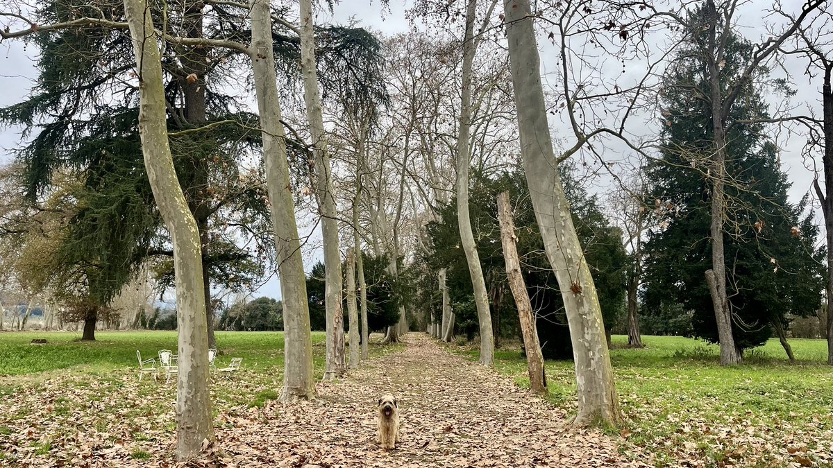 Les Deveses de Salt i el Castell del Marquès de Salt, amb Josep Maria Oliveras, un erudit de la nostra història. 
Herències en comú i llegats de generacions de pagès. 
Gràcies <a href="/jmoliveras/">Josep Mª Oliveras</a>!