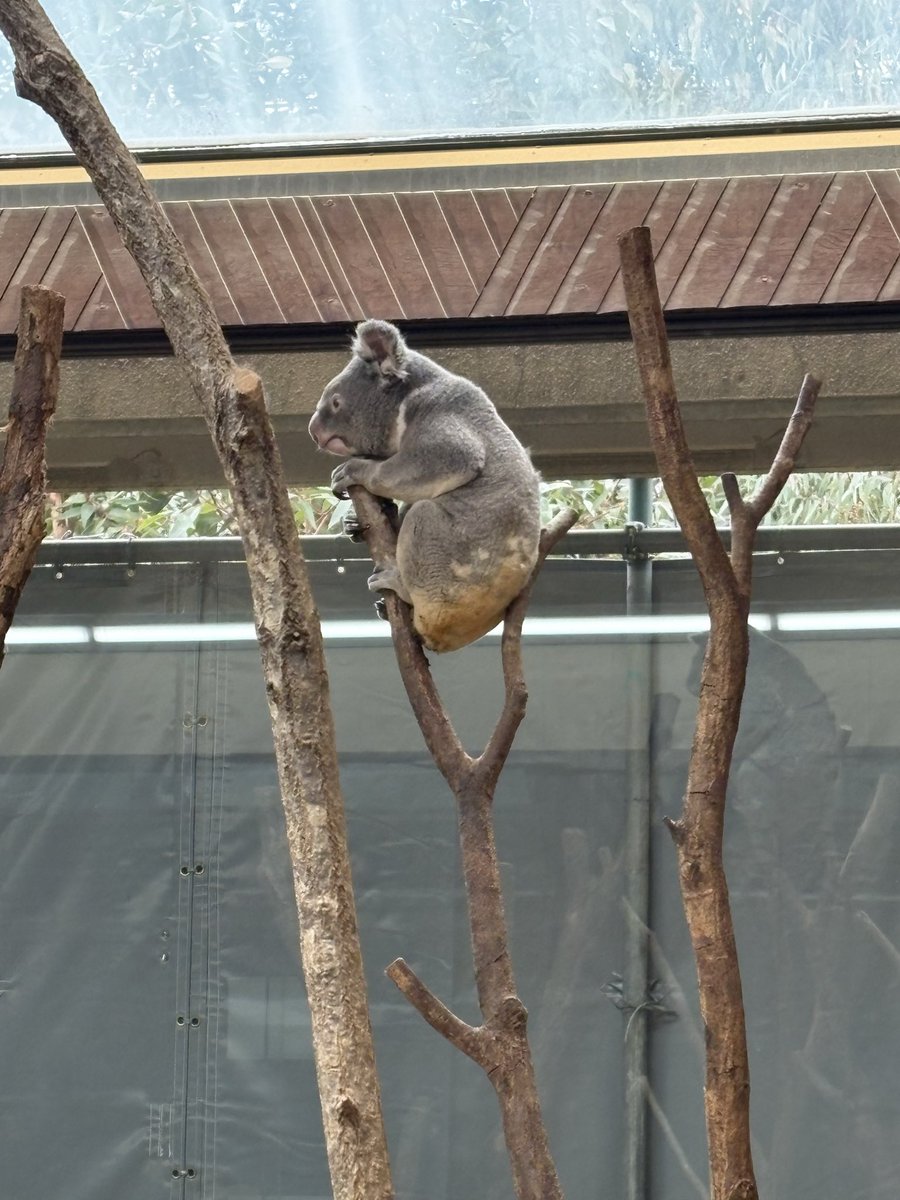 ₹ƕ೬₹ (@xMvpeZk3Vd86518) / Posts / X