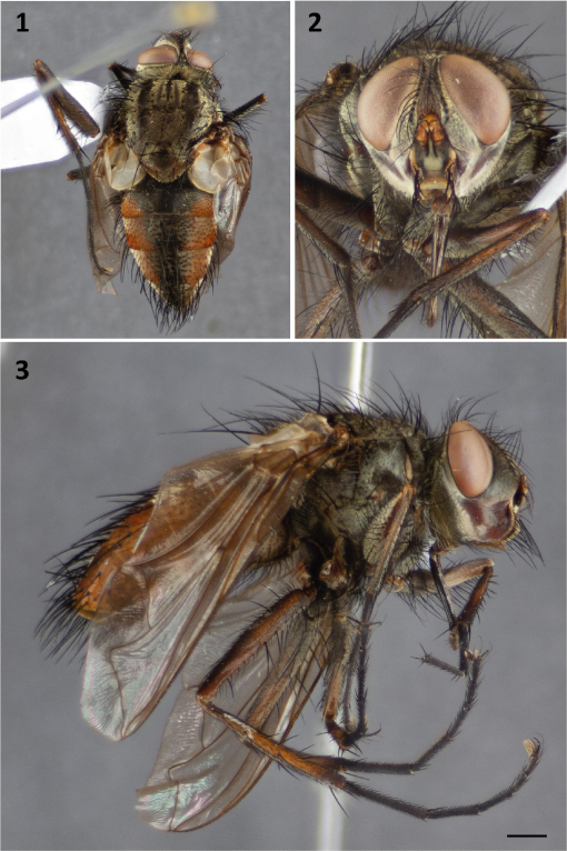 Integrative Systematics tweet media