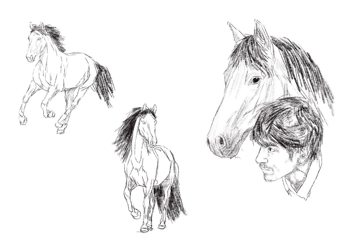 jensebrain's tweet image. สวัสดีปีม้า (+m้าเวอริค )