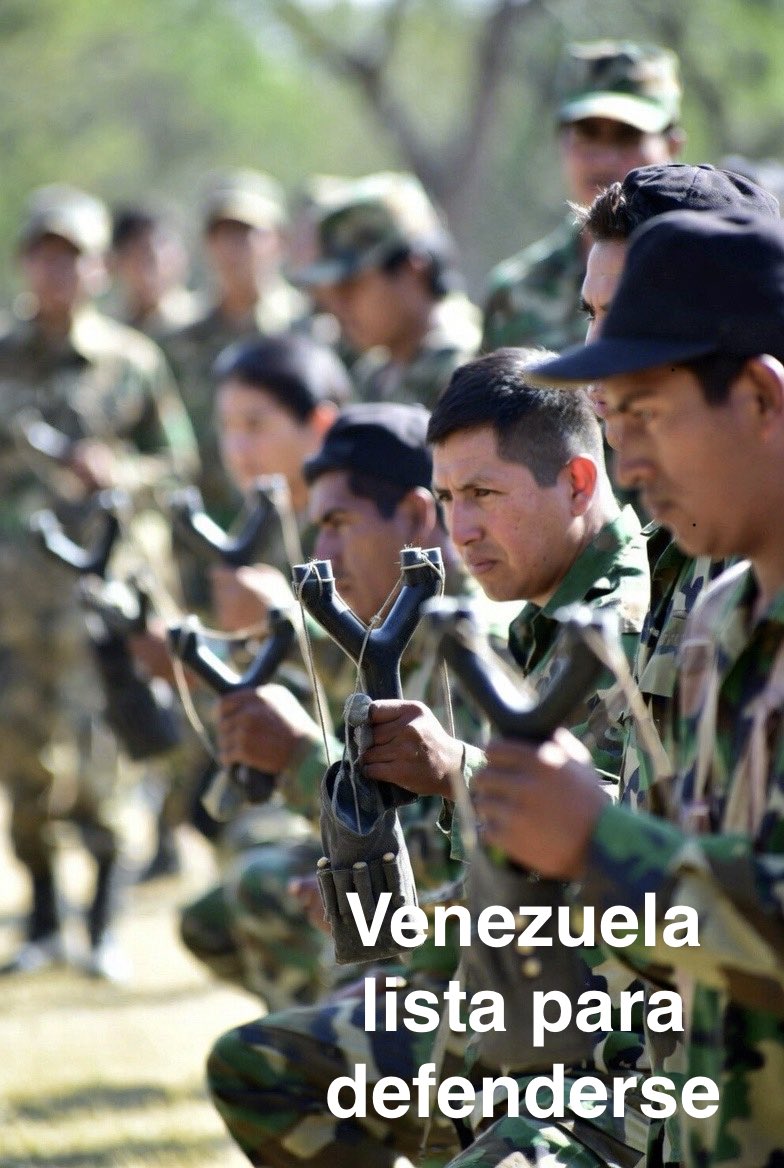 シン・ゴーン (Shin Gohn) tweet media