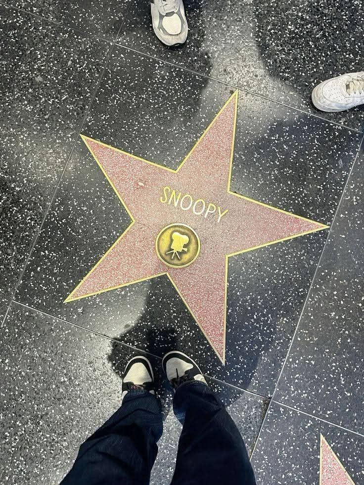 realsnoopys's tweet image. 