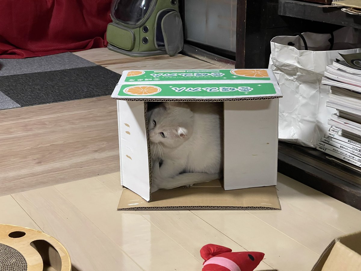 DawnSong's tweet image. ばくーしゃさん宅、やはり最高に楽しかった