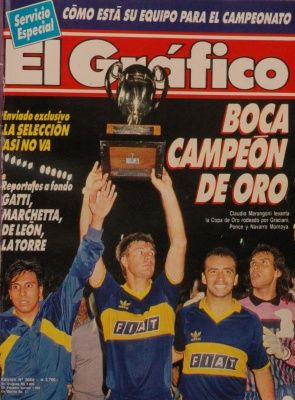 Como extraño los torneos de verano. Calor, ventilador, ardido por estar todo el día al sol en mar/pileta, la copa de oro, los jugadores cagandose a patadas en Mar del Plata, se jugaba a morir. Canchas llenas. Hacían debutar a algún juvenil que prometía.
 Que lindo que era.