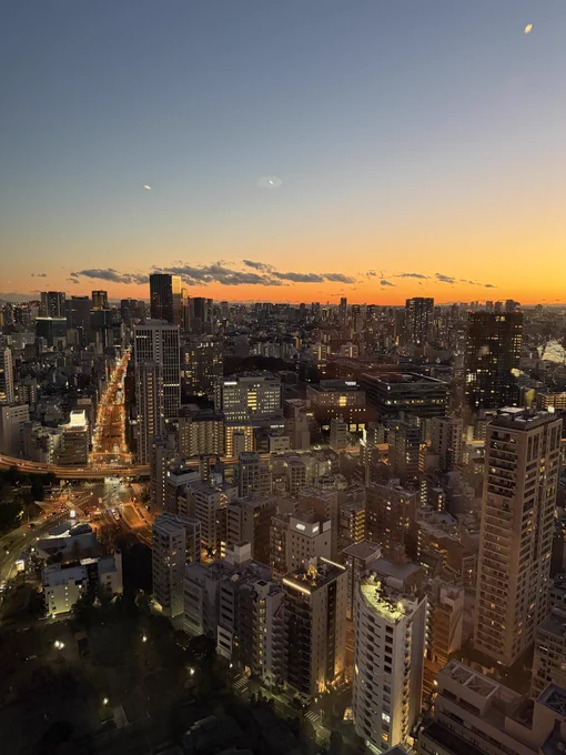東京タワーに行ってきました! #しぐれうい