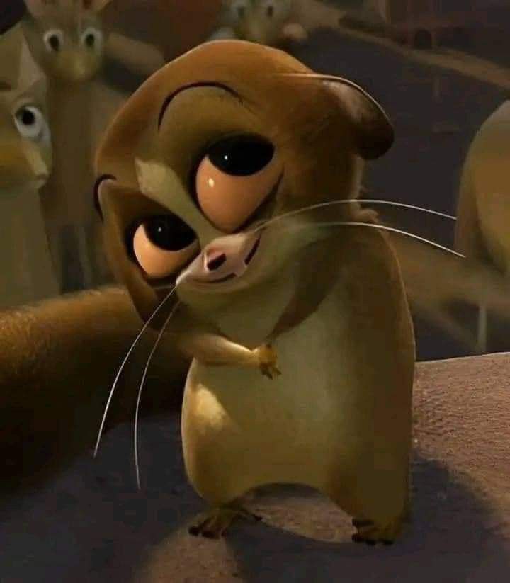 Pimpims | mt aft dm. tweet media