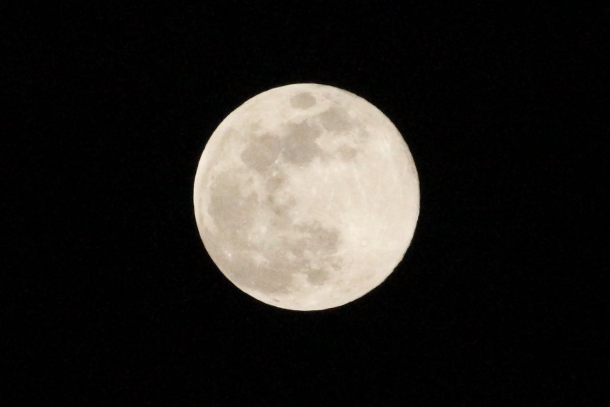 今年初めのスーパームーン🌕