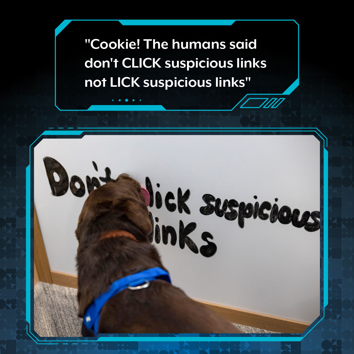 Australian Signals Directorate tweet media