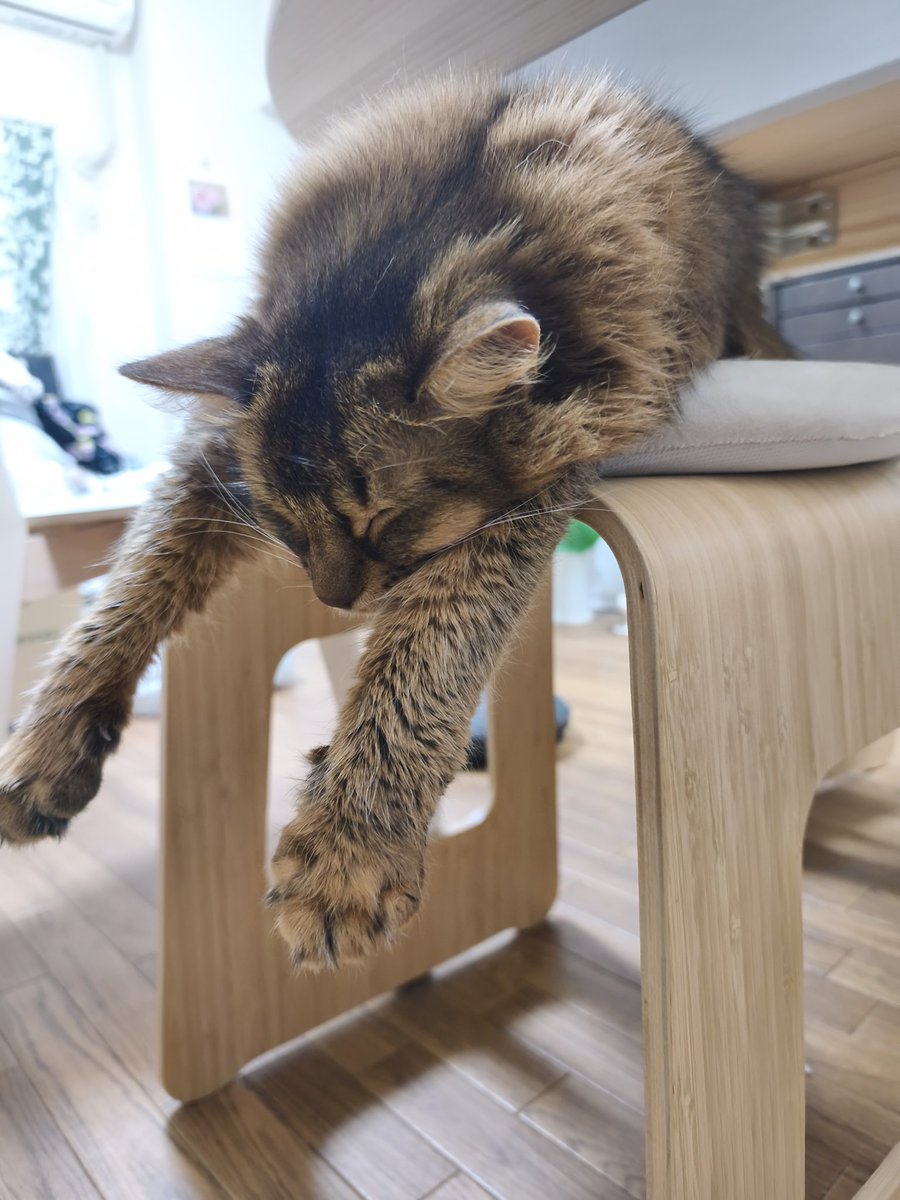 のぶさんページ 004_l.jpg