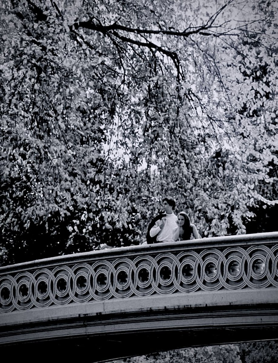 neuro.social.self tweet media