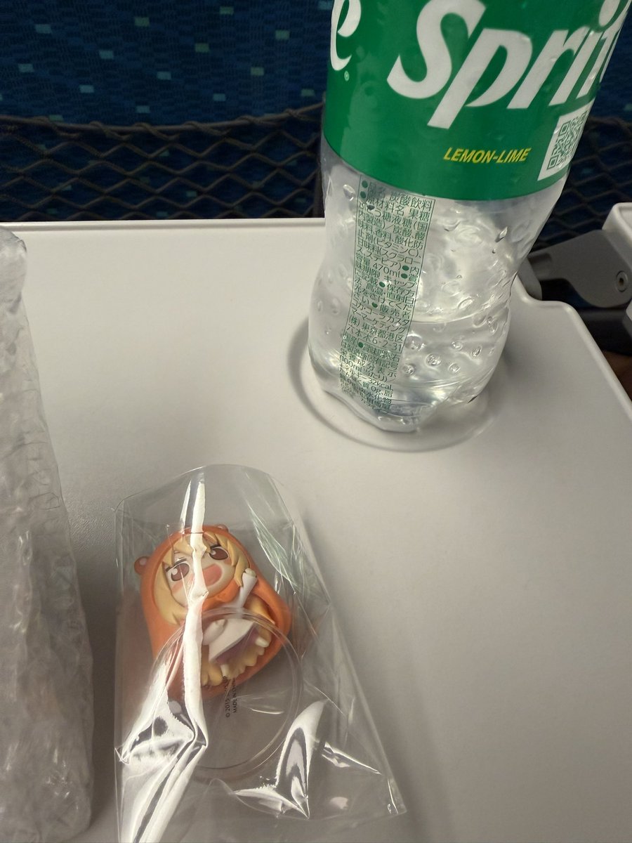 秋葉原まで行って☝️戦利品これと、これwww   地元で買っても変わらんやん🤣