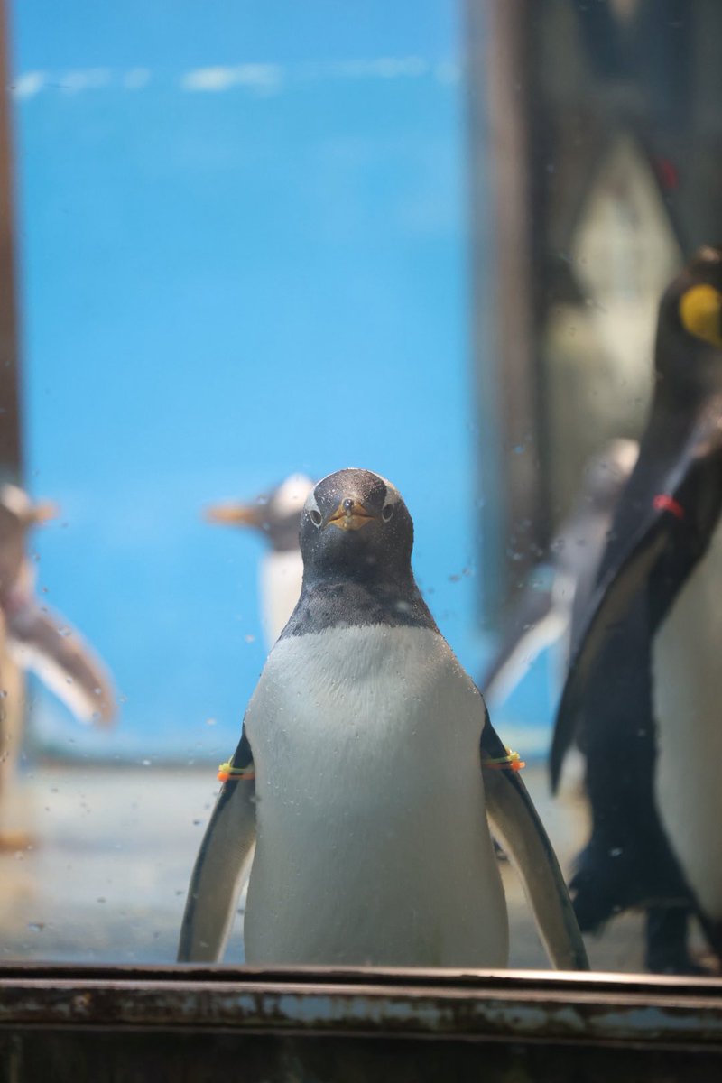 ちょっと笑ってくれてるように見える。いや、私がそう見たいだけかな