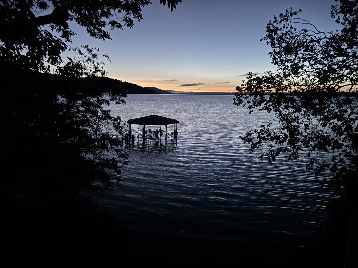 Carlos Fion tweet media