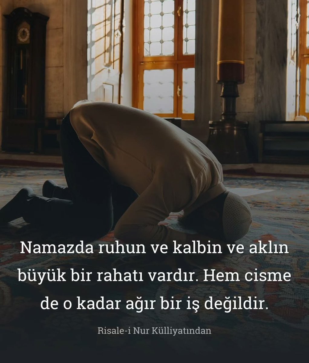 Nur Tohumları (@nurtohumlari) on Twitter photo 