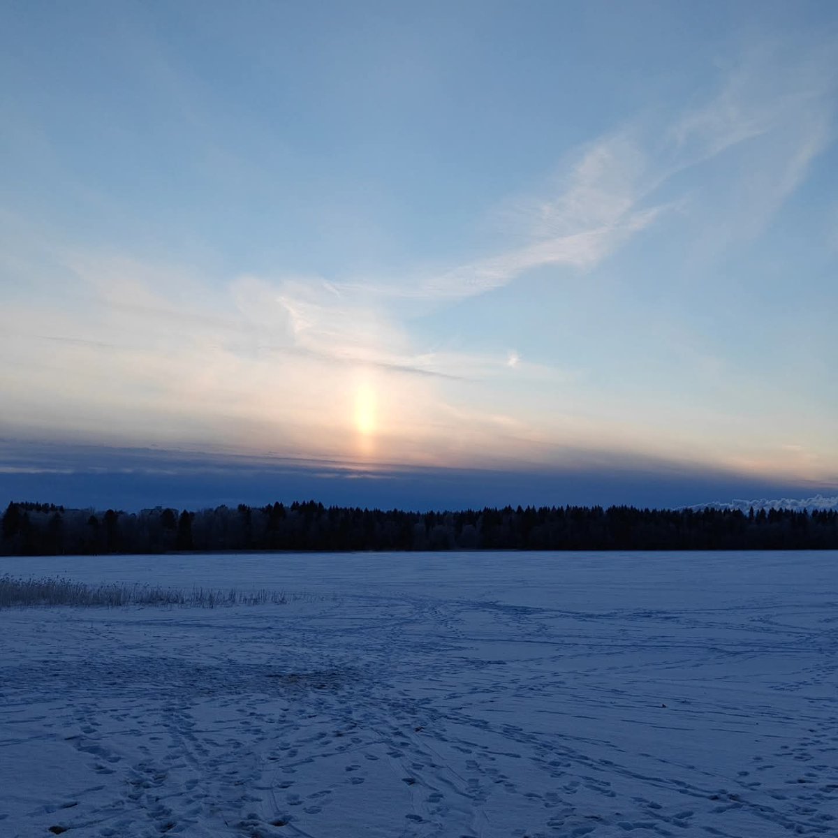 Talvi ❄️☀️ #january #wintertime #frozen #fourseasons #Oulu2026