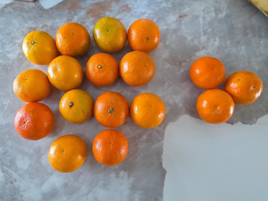 Саруул захын жимсний тасгуудын харилцаа үйлчилгээ янзын сайн болжээ гэж бодогдтол үйлчилгээ үзүүлж амтлагаа хийлгэж байв. Ер нь бол саруул захын жимсний үнэ өндөр гэдгийг хэн хүнгүй л мэднэ. Гэхдээ тэр үнэтэй байгаа шалтгаан  нь цэвэрхэн, сайн сортын жимснүүд зардаг гэж одоог