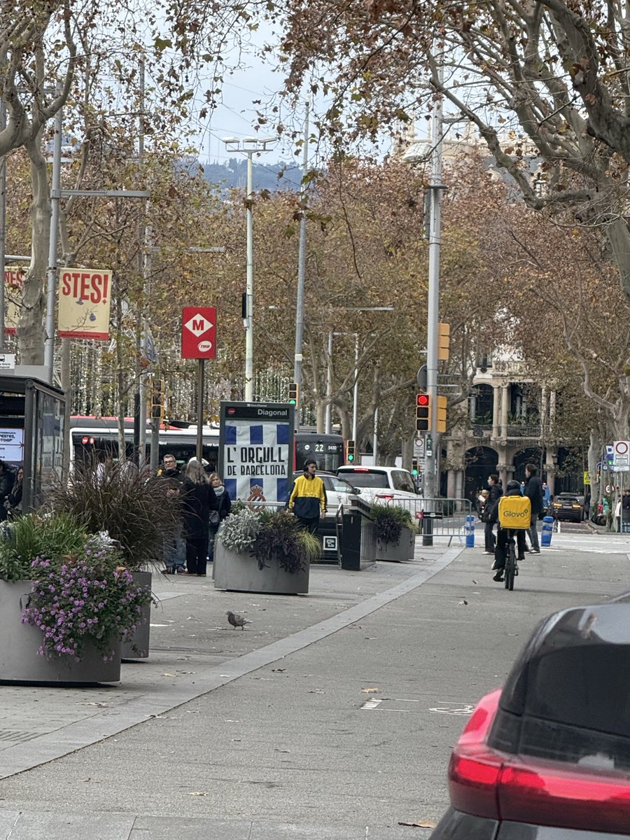 Filiberto Fernandez 🚌 tweet media