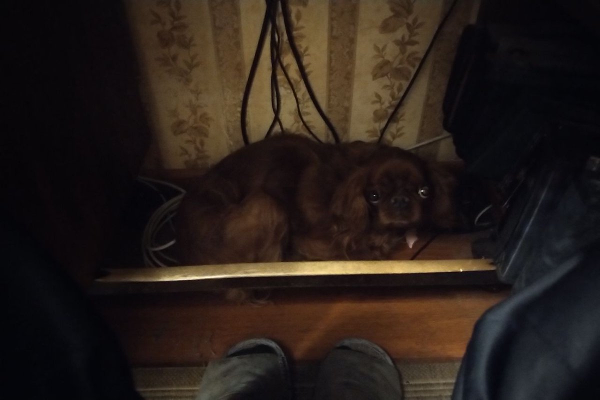 Zax Fire tweet media