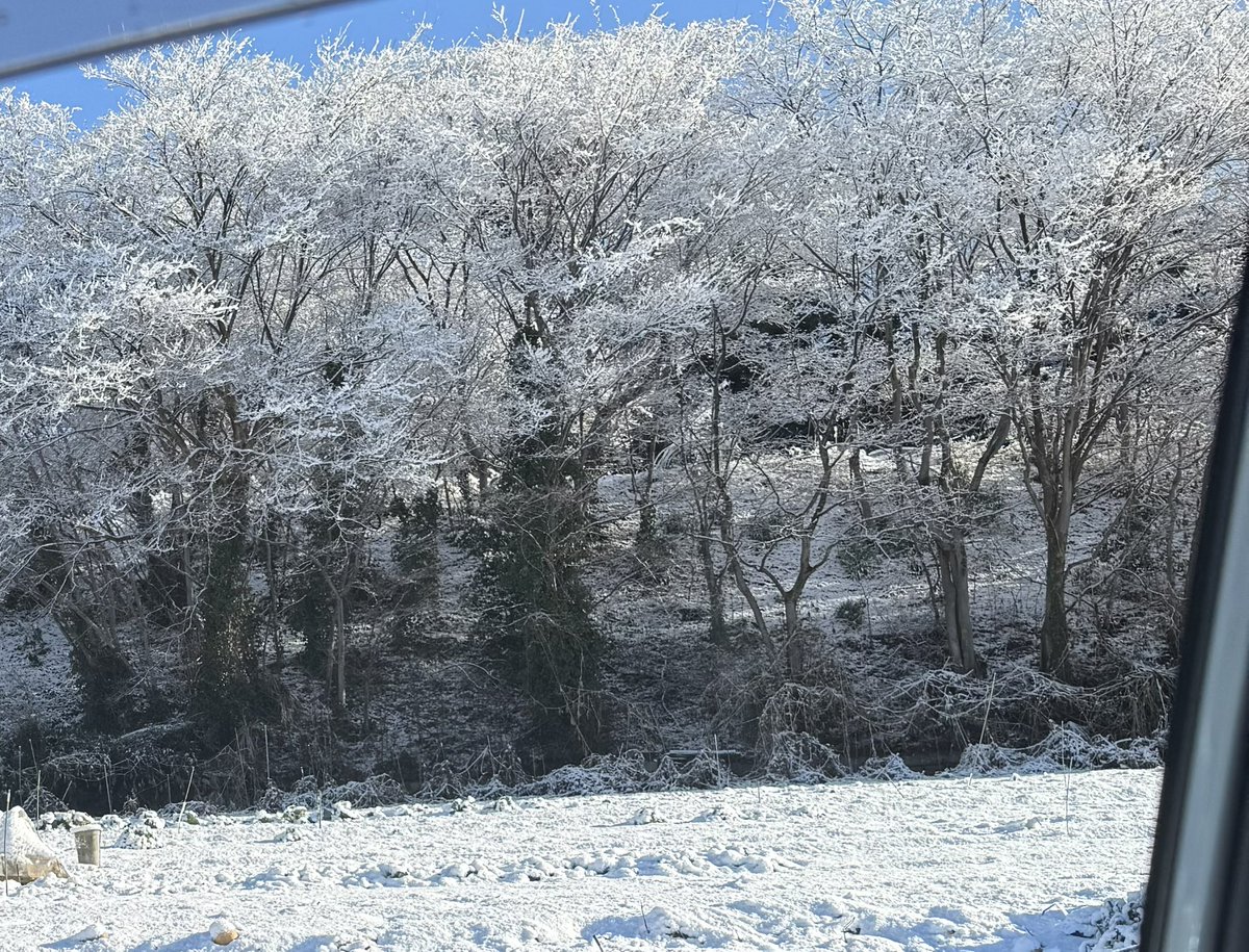 infinity_mm0123's tweet photo. 新しい一年のはじまり。関東にも雪が少し積もり、キラキラとした景色がとても綺麗でした❄︎⛄️

感謝の気持ちを忘れずに、今年も一日一日を大切に過ごしていきたいと思います🍀

今年は、少人数で茶話会形式の悩みを共有し合う場を作りたいと考えています✨

#INFINITYMM
#発達障害
#対人関係
#茶話会 https://t.co/HVVCTyFgsx