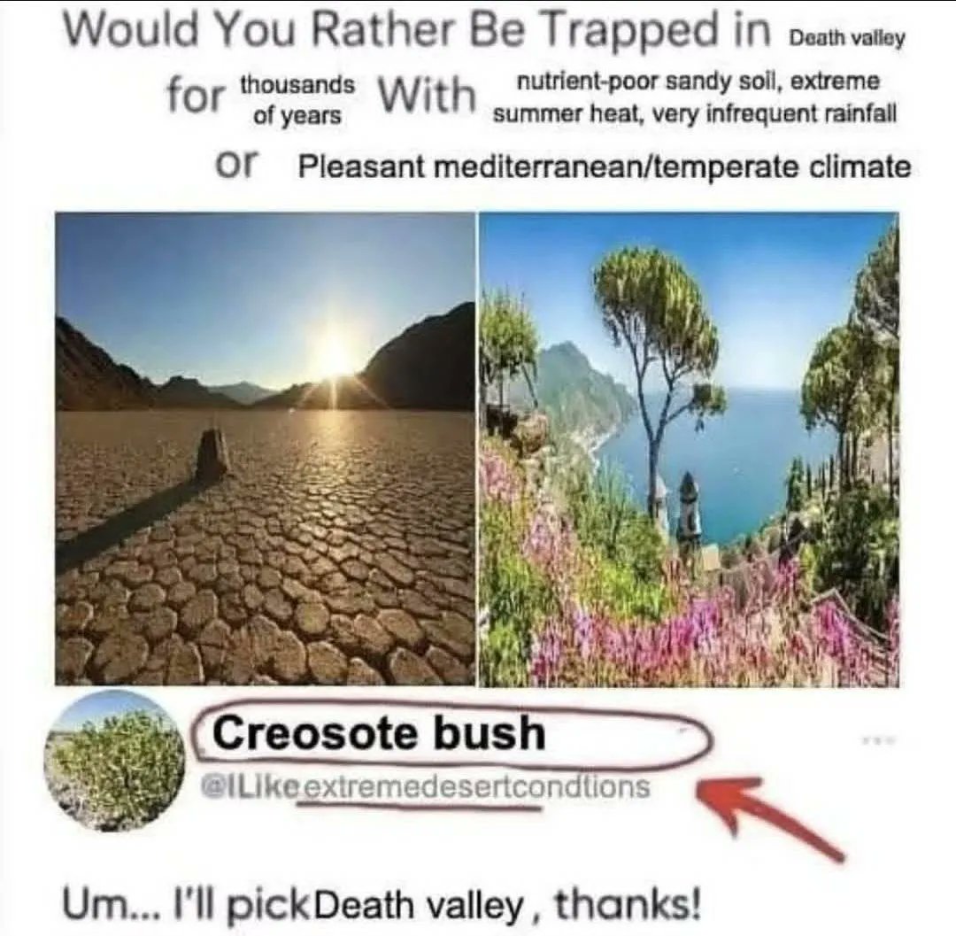 brainrotpostig's tweet image. 