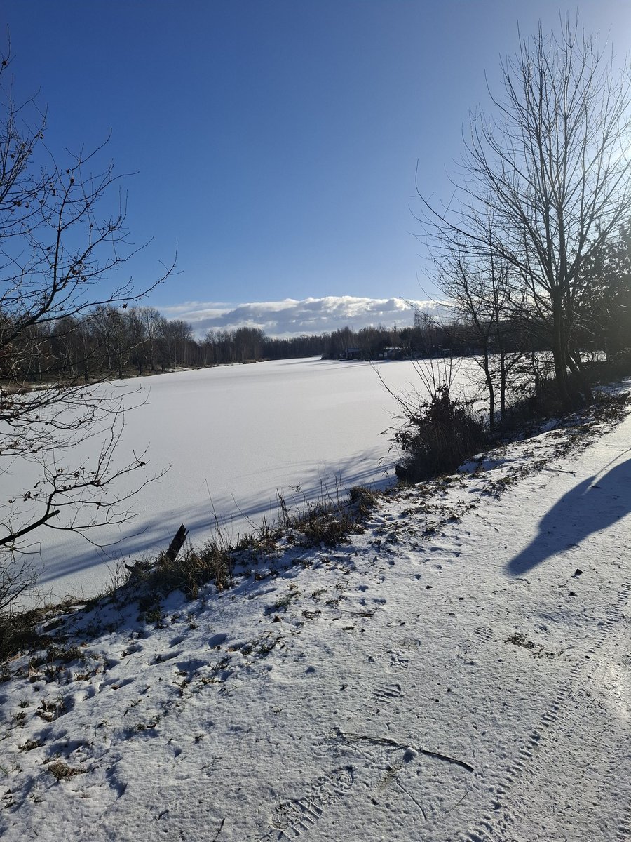 Zimno ‼️‼️dobrego popołudnia wszystkim ❄️🌲❄️🌲❄️🌲❄️🌲☃️👋