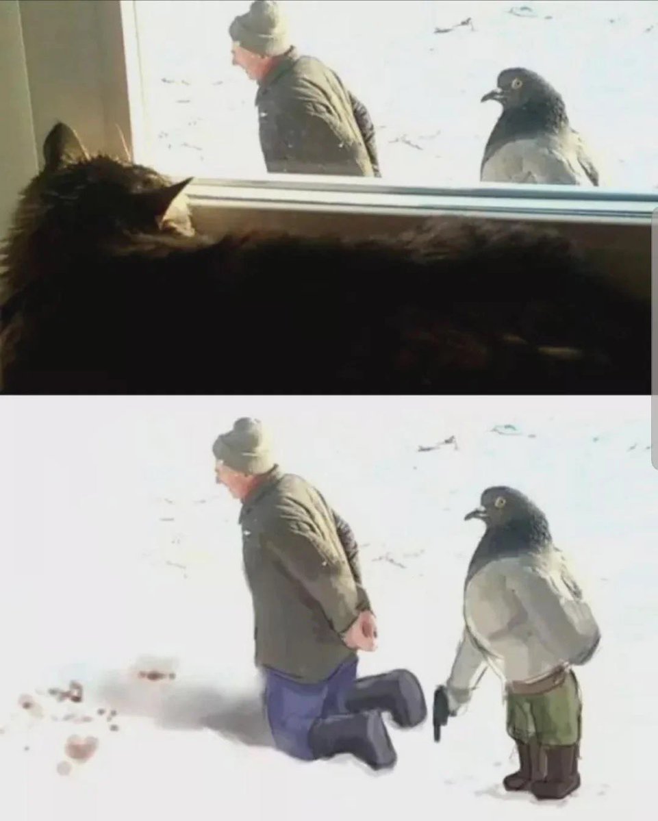 HumansNoContext's tweet image. 