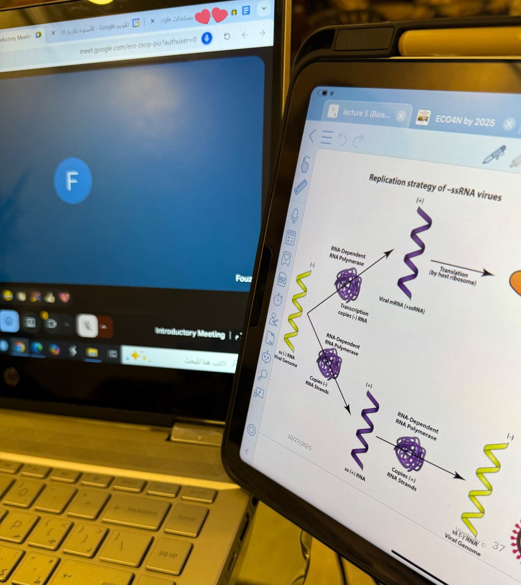 أيام تختبر قدرتك على التوازن وتنظيم الوقت 
يارب تيسيرك