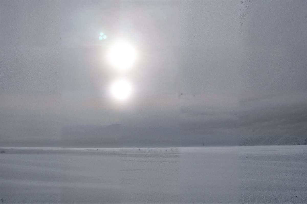 DIMITRII ANISIMOV tweet media