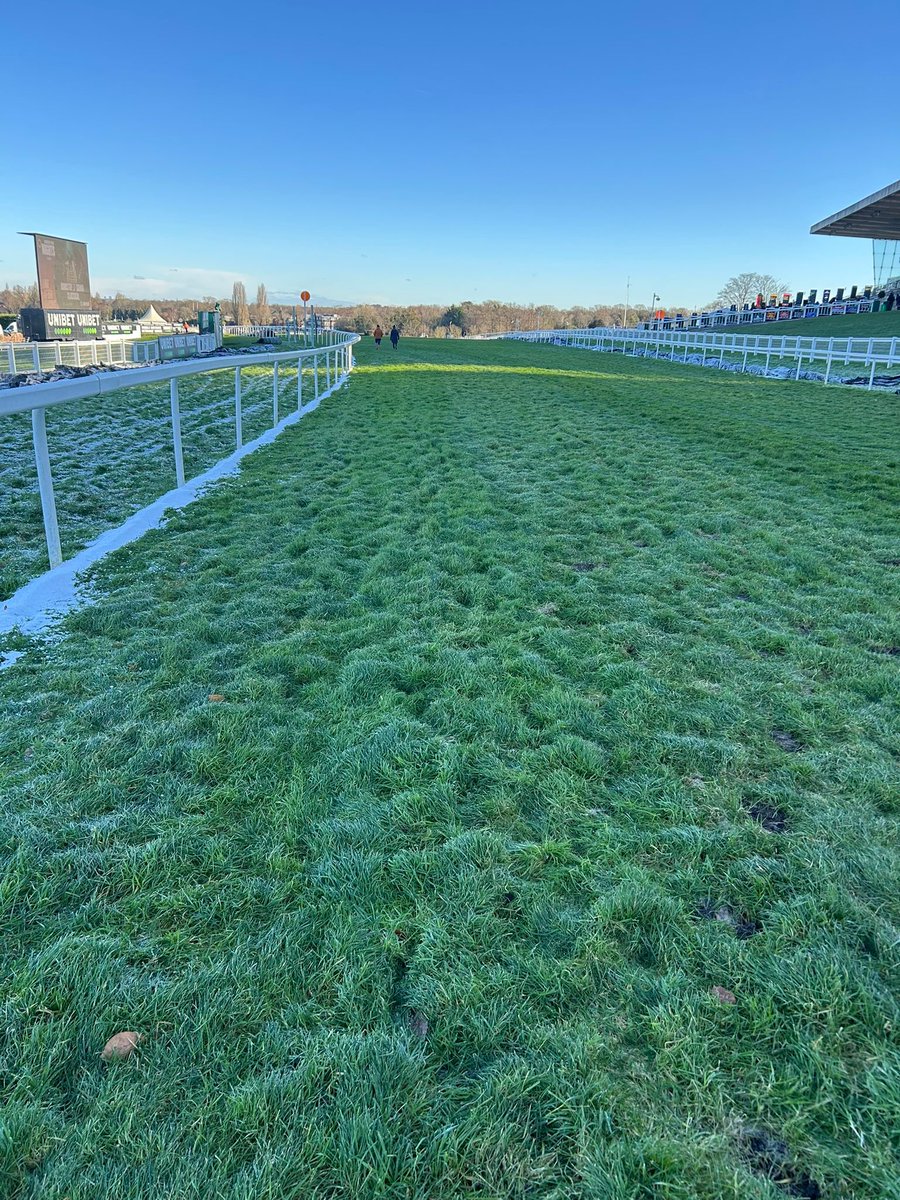 Sports & Stadia tweet media