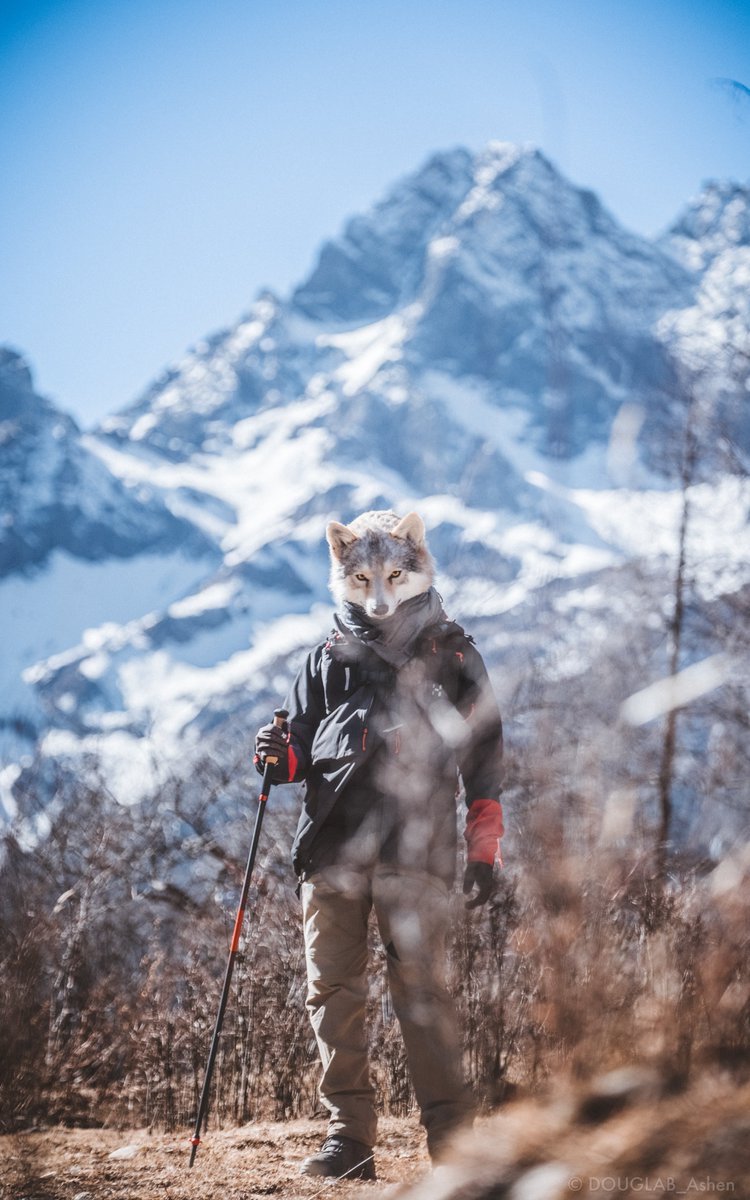 DOUGLAB_Ashen's tweet image. “Walking through the wilderness.”
荒野を歩く

#FursuitFriday
#DOUGLAB

📸：@TheCIPF