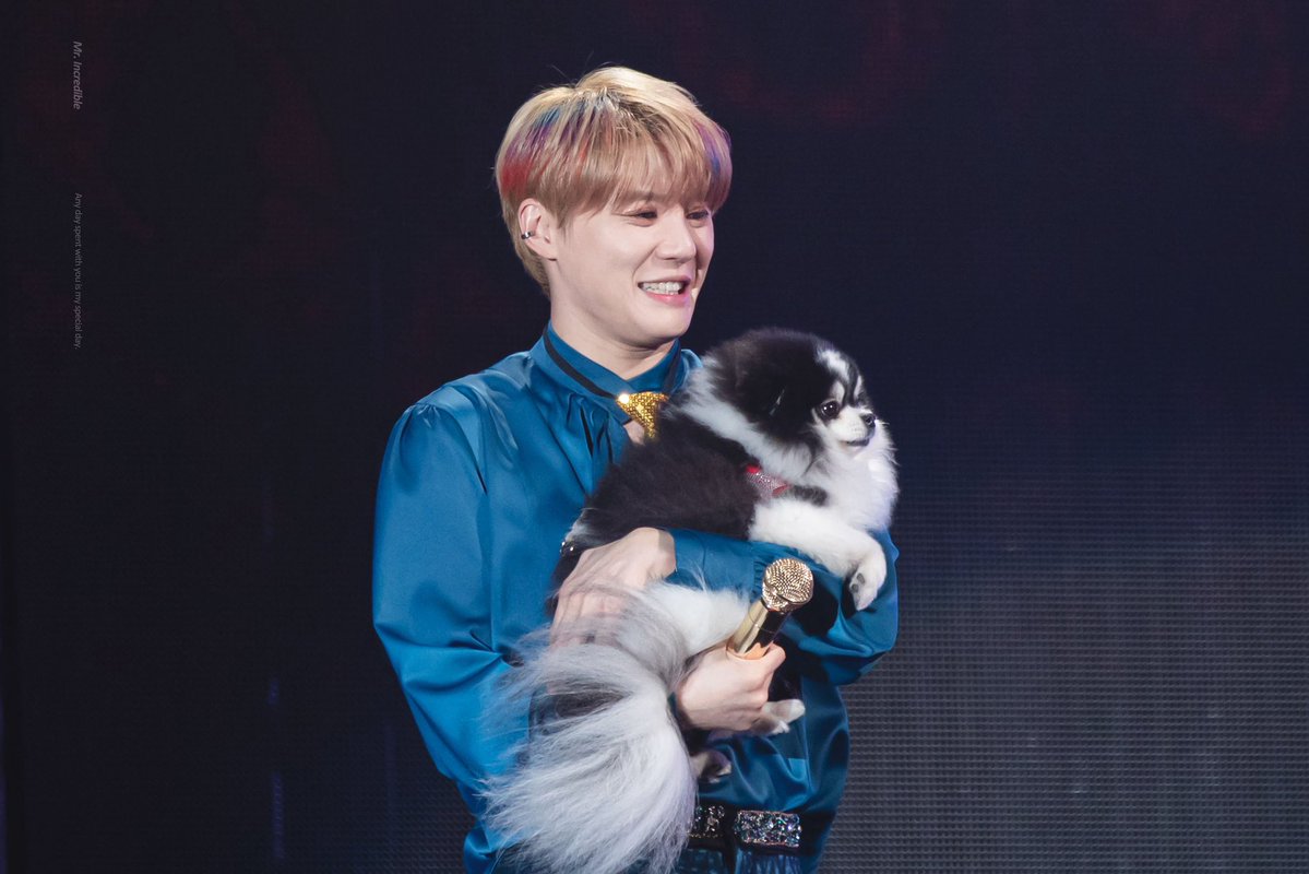 XiaGallery's tweet image. 