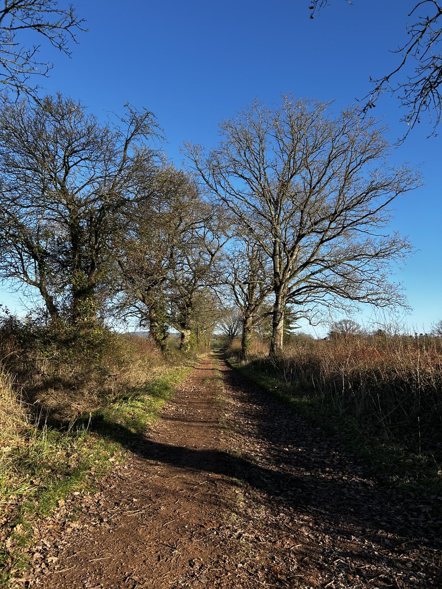 Gorgeous day here! Absolutely no snow! 😂😂