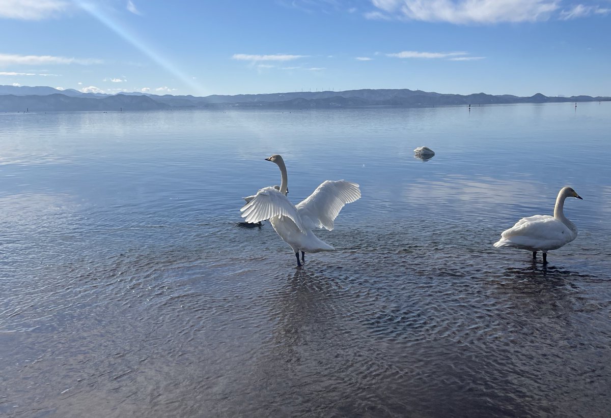 ⋆ ☄︎. ·˚ * ꙳ tweet media