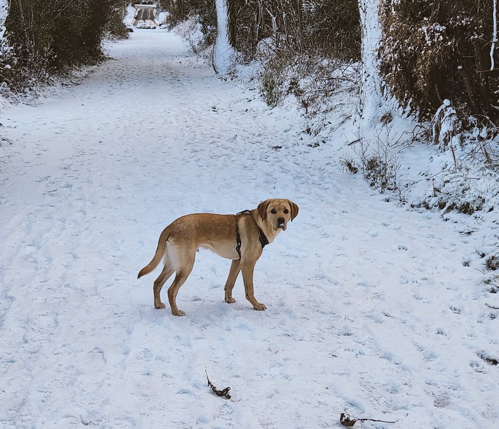 R O B B E H tweet media