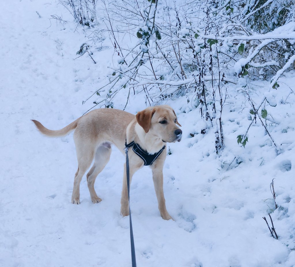 R O B B E H tweet media