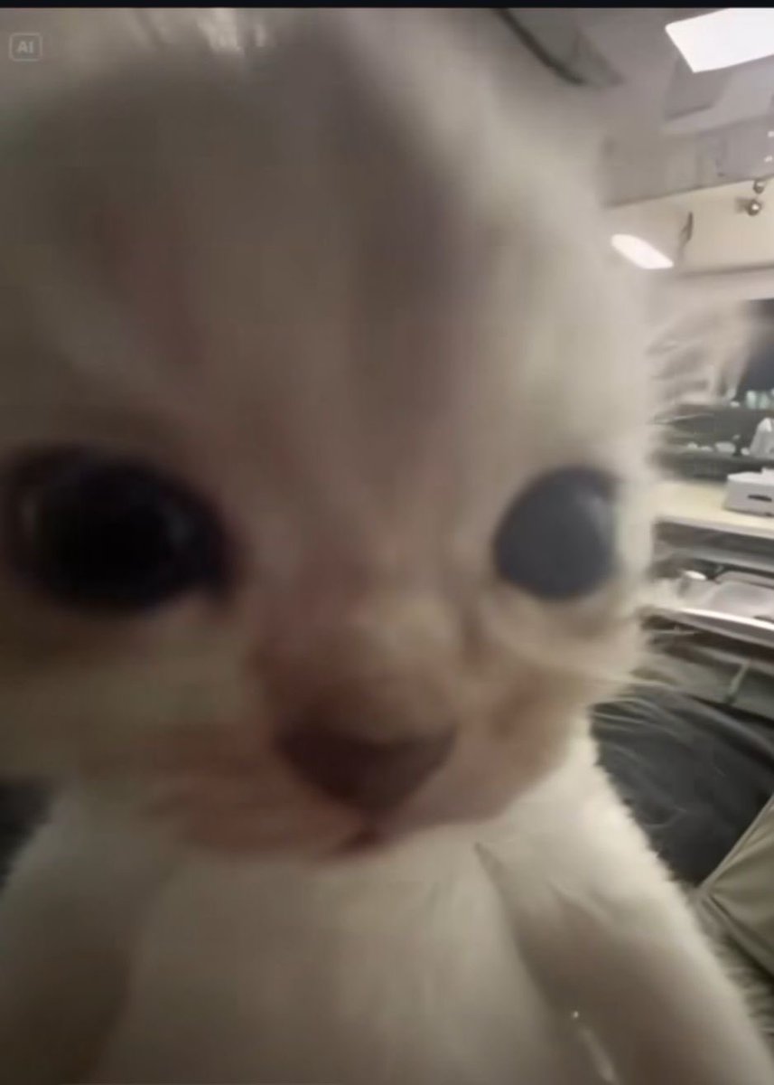 THIEFOFCODES's tweet image. ⠀
 ⠀
 goob morning
 ⠀
 ⠀