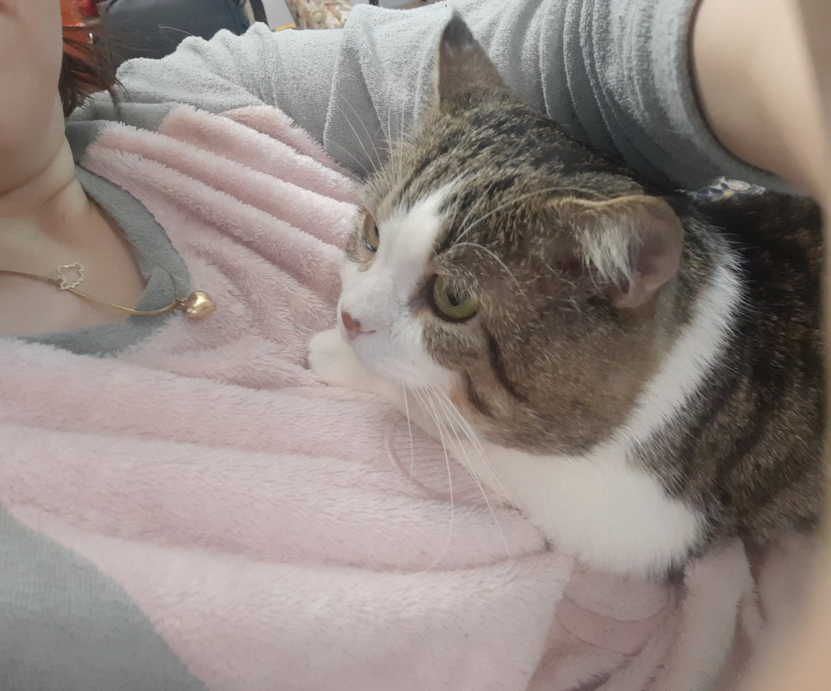 ممن 
گوبه های ونزوئلا خوشبخت شدن؟
بله مامان جان😊