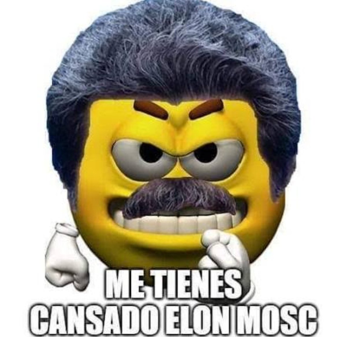 SoyXarLee's tweet image. Maduro cuando un funcionario le enseñe este tuit a través de las rejas: