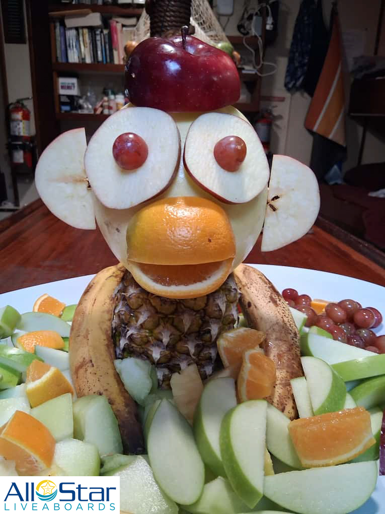 DiveASL's tweet image. 😂😂 It's too cute to eat! Find culinary  art aboard All Star Blackbeard's Cruises (as well as sailboat adventure and fantastic diving!)

~The Bahamas

#allstarliveaboards #blackbeardscruises #justanotherday #culinaryart #fruitplate #bahamas