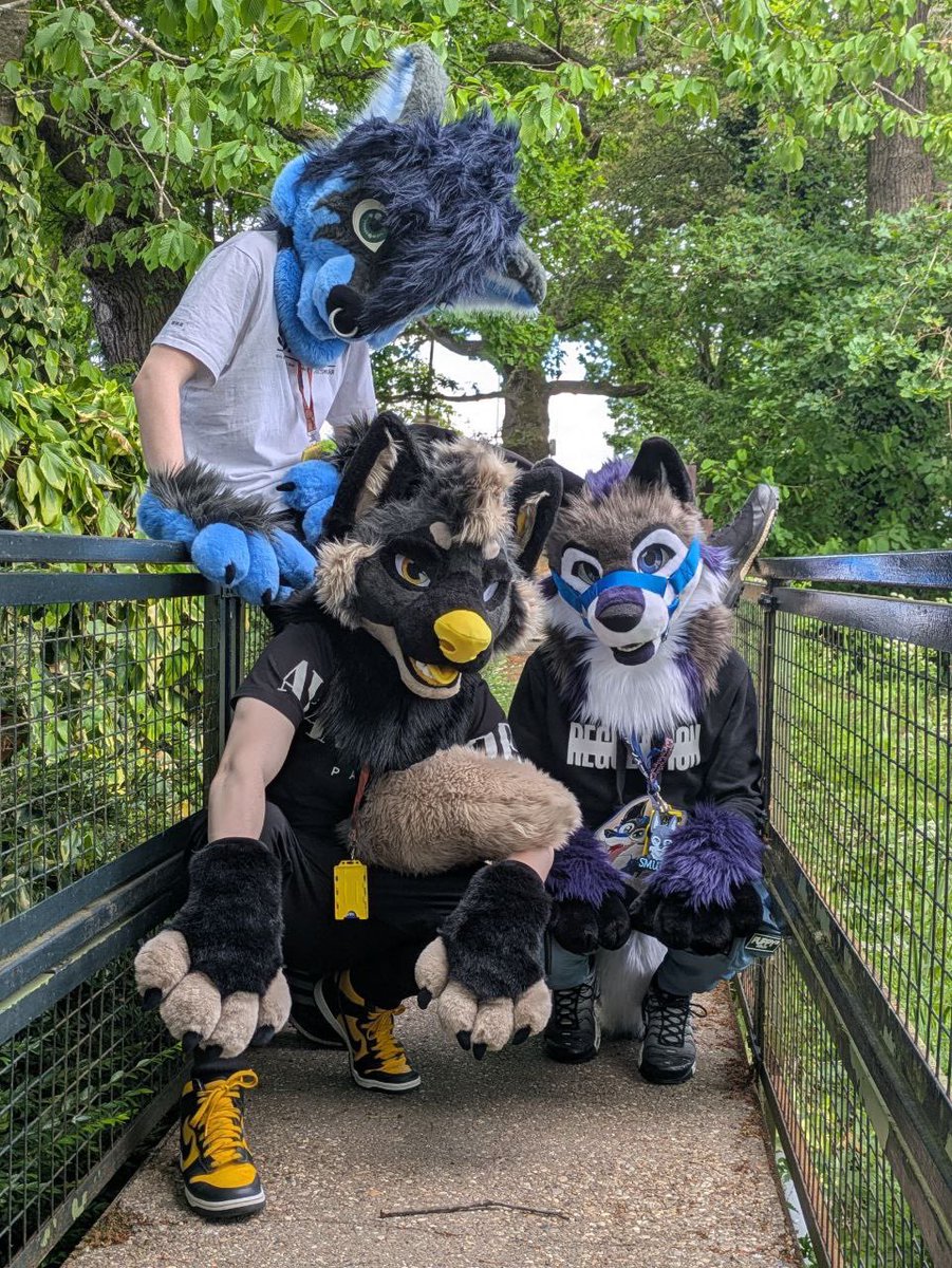 Pup Smudge tweet media