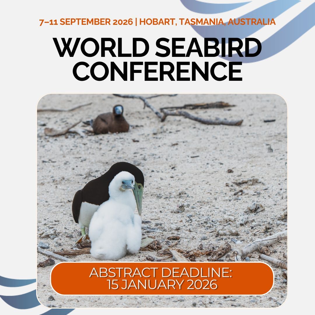 Showcase your expertise and connect with the global seabird research community. Abstract submissions for the 4th World Seabird Conference are now open.

🗓 Deadline: 15 January 2026
🔗 bit.ly/4jsKMRG