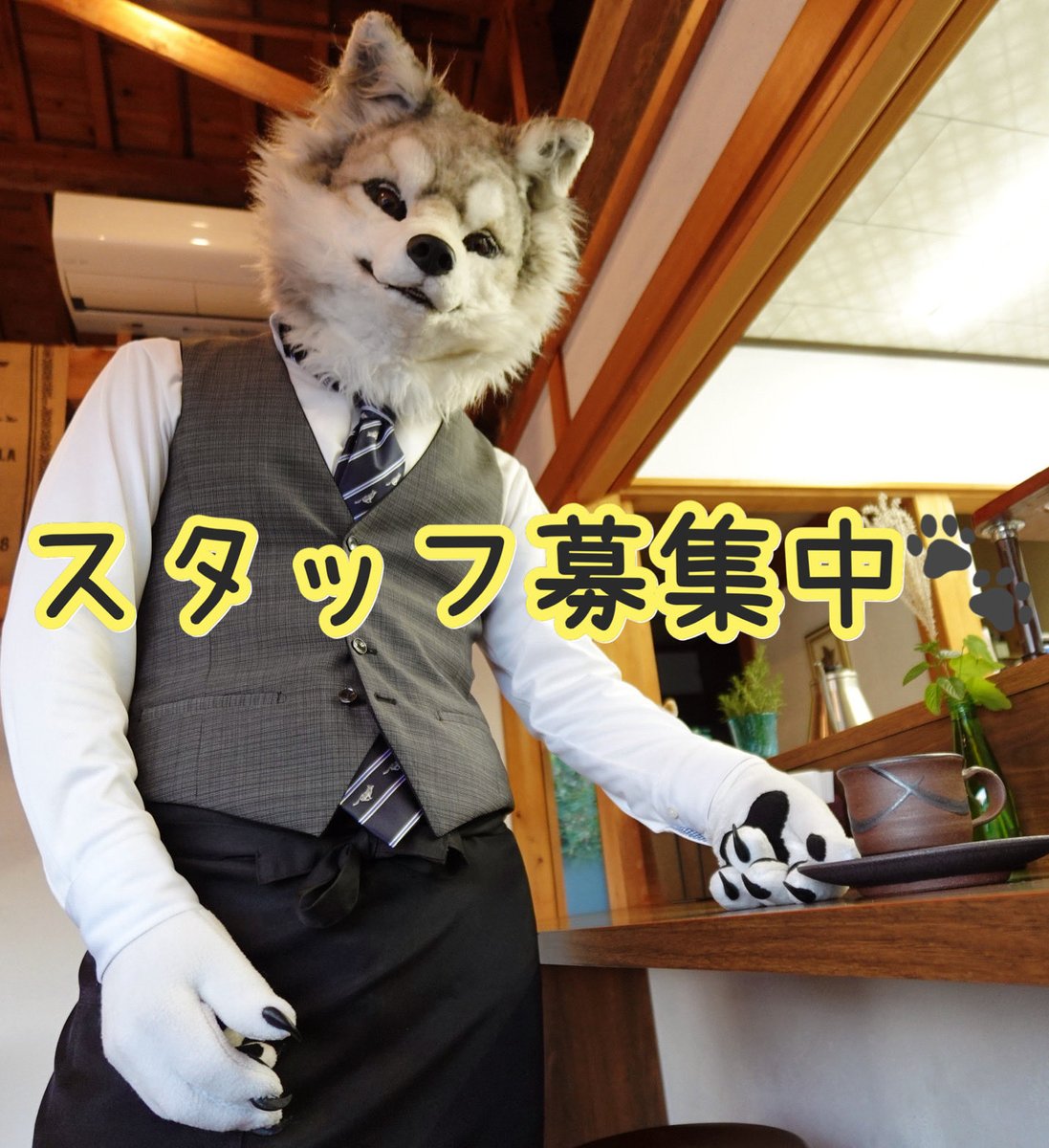 みかん犬🍊🍊 (@tag7master) / Posts / X