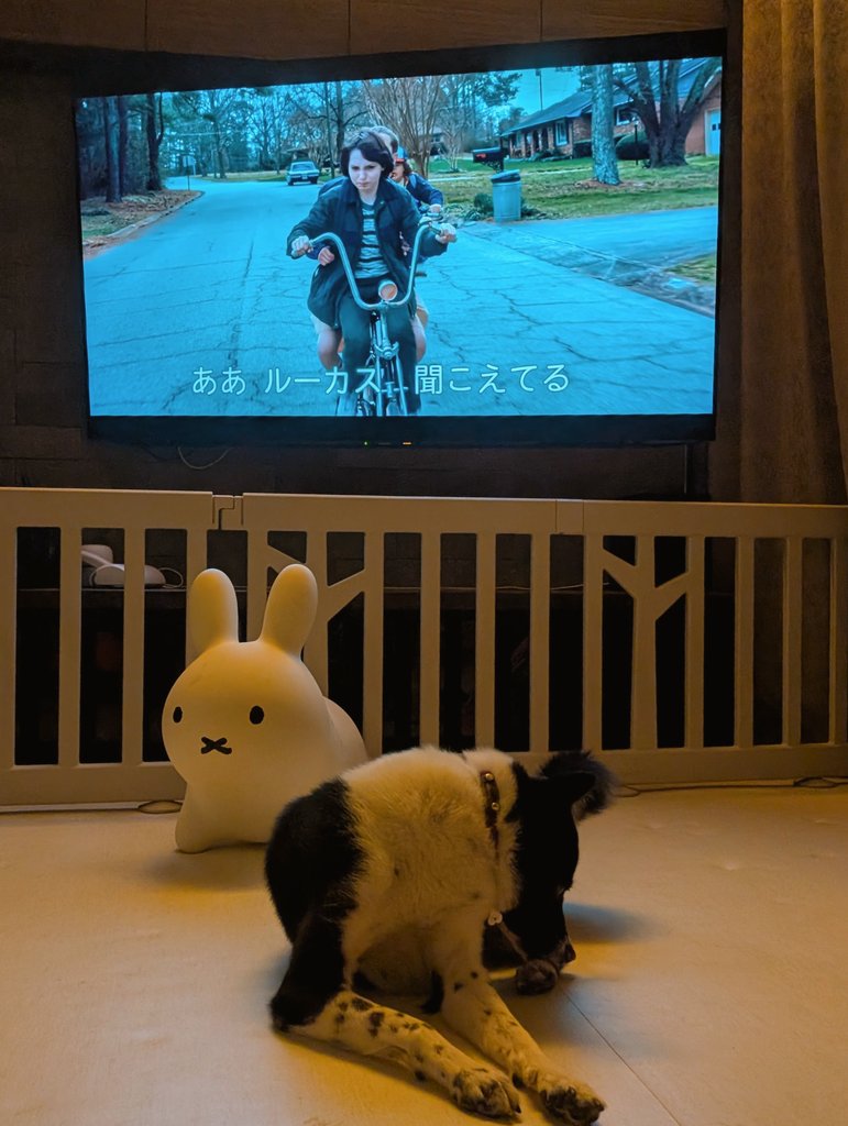 koreha_neko's tweet image. 夫と子どもが義実家へ帰省してしまい、お留守番妊婦はさみしくて水も喉を通りません…。