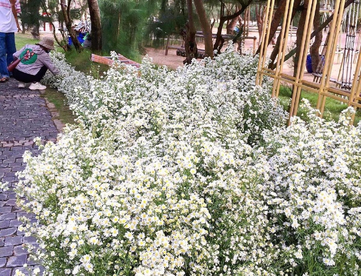 Clara Bell tweet media