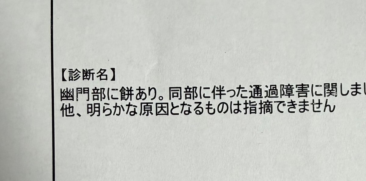 釣本直紀 (@turimotonaoki) / Posts / X