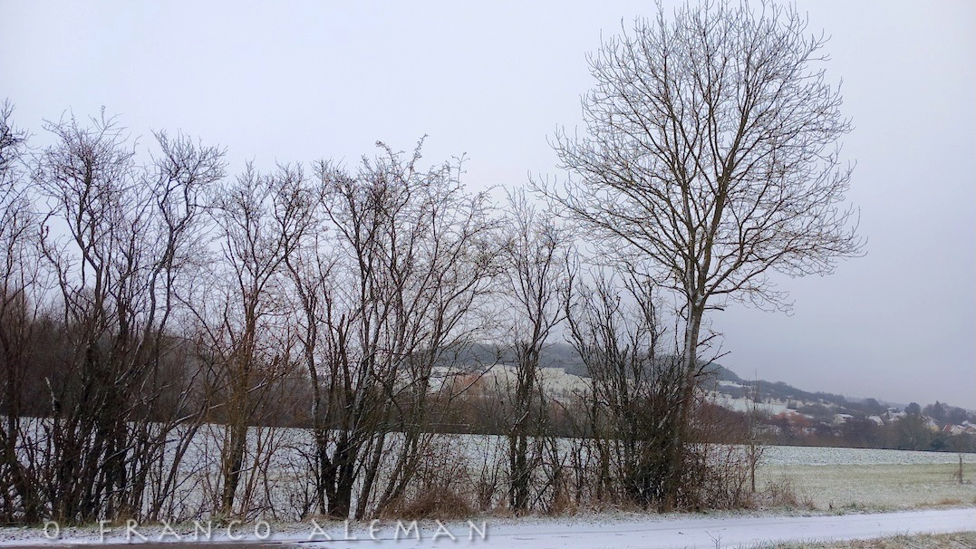 artwork from the series

#winter

#nature #NaturePhotography #Venezuela 
#landscape #venezuelalibre #paysage #snow