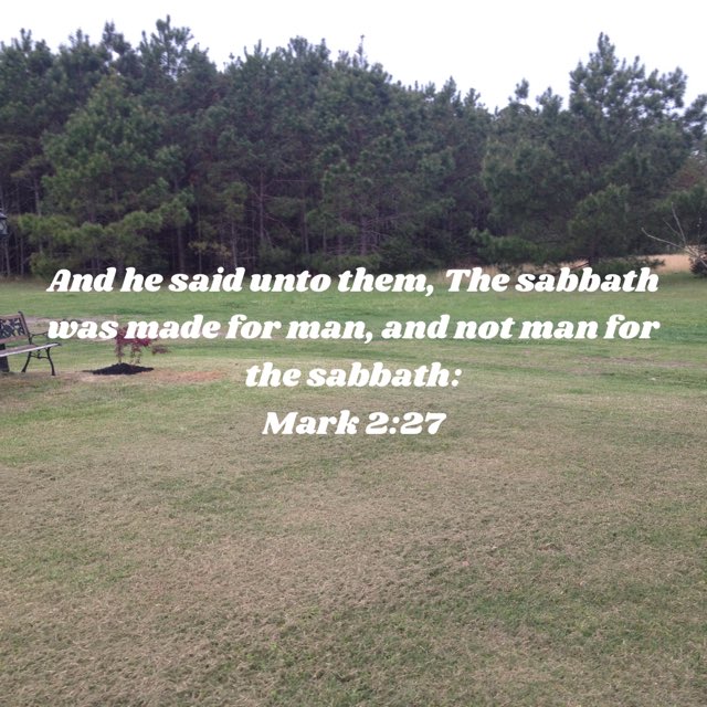 Jsano97's tweet image. 